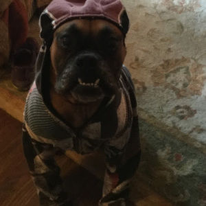 Meet your Posher, Ben